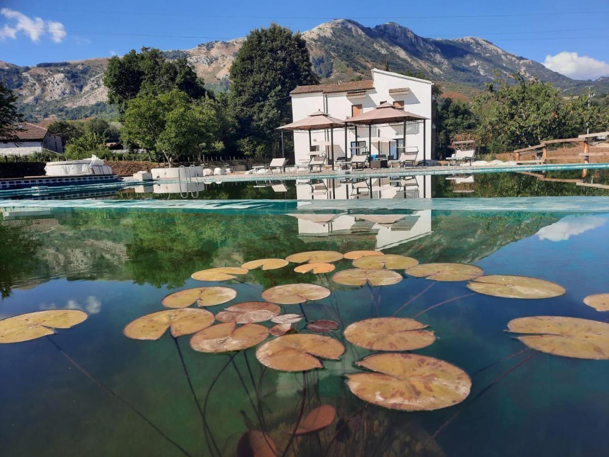 Agriturismo Albero del Miele Villa San Rufo Esterno foto